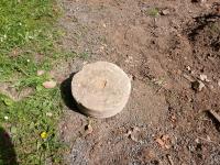 20250503_111346 (1024x768).jpg